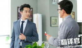 翻译官电视剧,跨越语言的桥梁，演绎爱情与梦想的交响曲