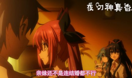 伦理动漫大全,动漫中的道德探索与人性反思