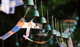 风铃动漫,描绘青春梦想的动漫世界