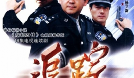 追踪 电视剧,揭秘悬疑剧中的真相与谜团