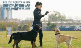 警犬电视剧,忠诚守护，正义同行